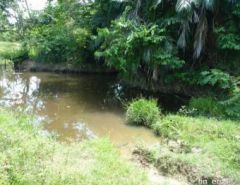 La Pradera - Finca en Aguachica, Cesar
